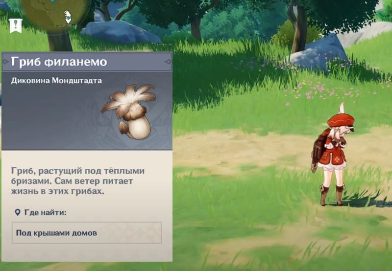 Гриб Филанемо для восхождения