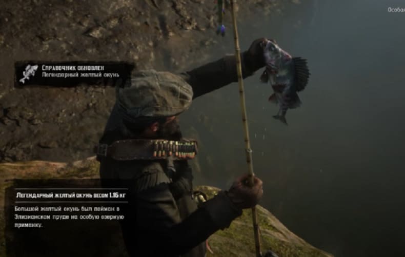 Легендарный Желтый окунь