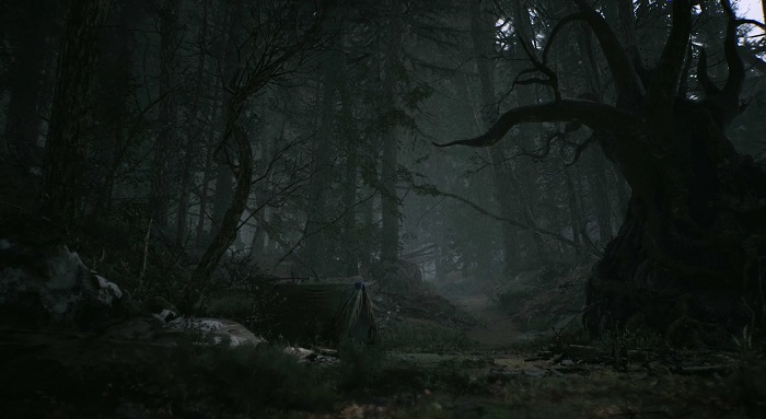 Лучшие игры про лес на ПК разных жанров