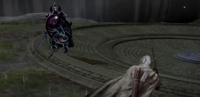 как играть берсерком в elden ring