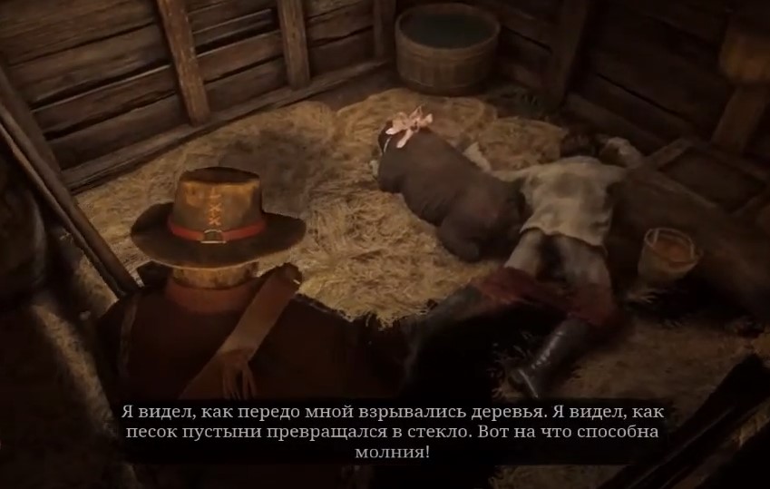 с овцой рдр2