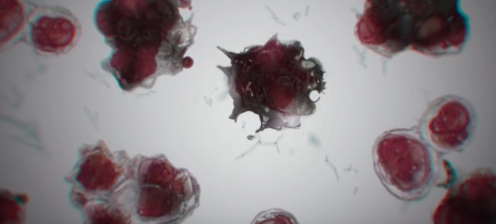 Полезные советы новичкам в Dying Light 2: Stay Human