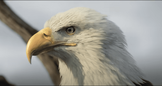 18 великолепных игр, которые можно посоветовать людям за 40 лет